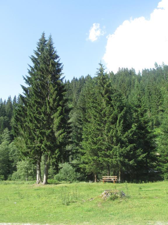 Schwarzenbacher Lungötz Værelse billede